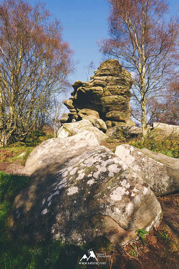 Skałki Brimham Rocks, North Yorkshire, Anglia www.katiraf.com